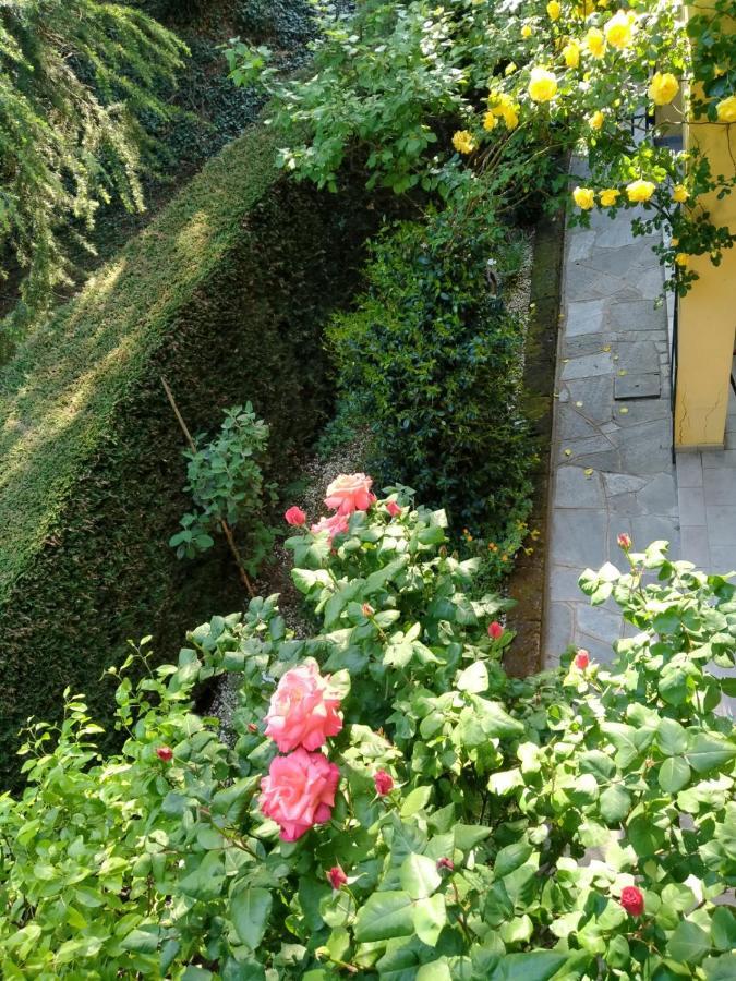 Appartement Rose'S Garden - Zona Tranquilla - Vicino Torino à Pino Torinese Extérieur photo